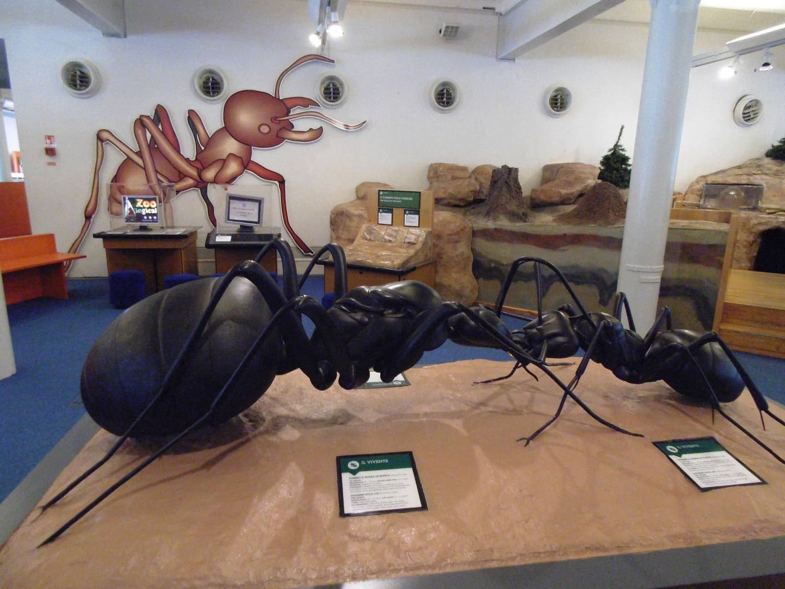 A display of a huge ant