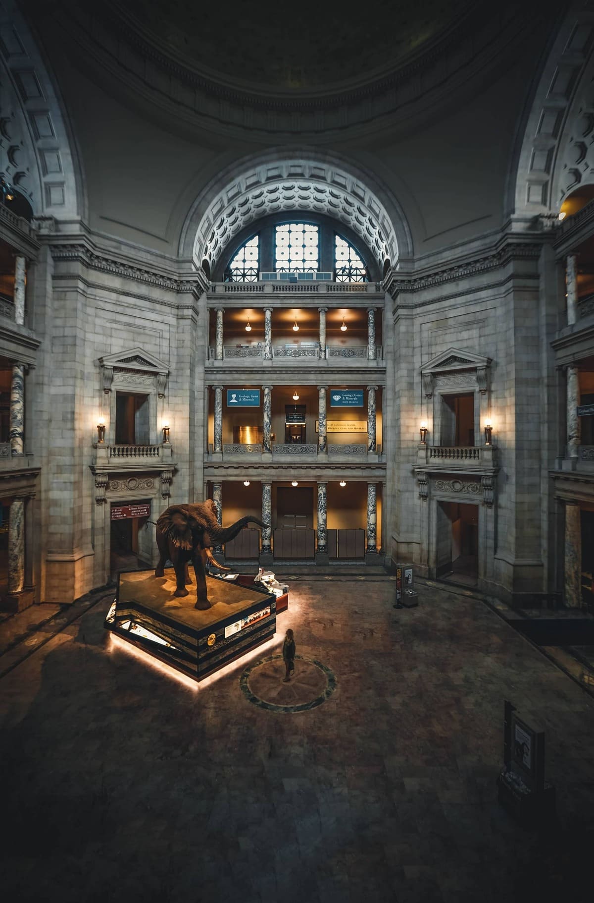Image from inside a large museum with an elephant displayed